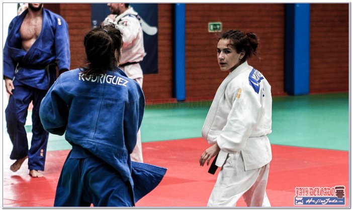 STAGE JUDO MADRID 14 00044